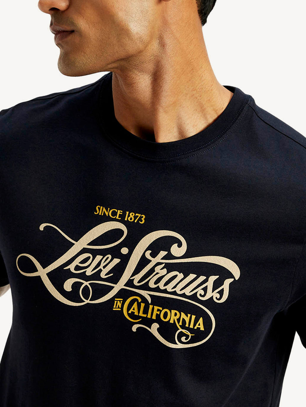 Men's Graphic Slim Fit T-Shirt