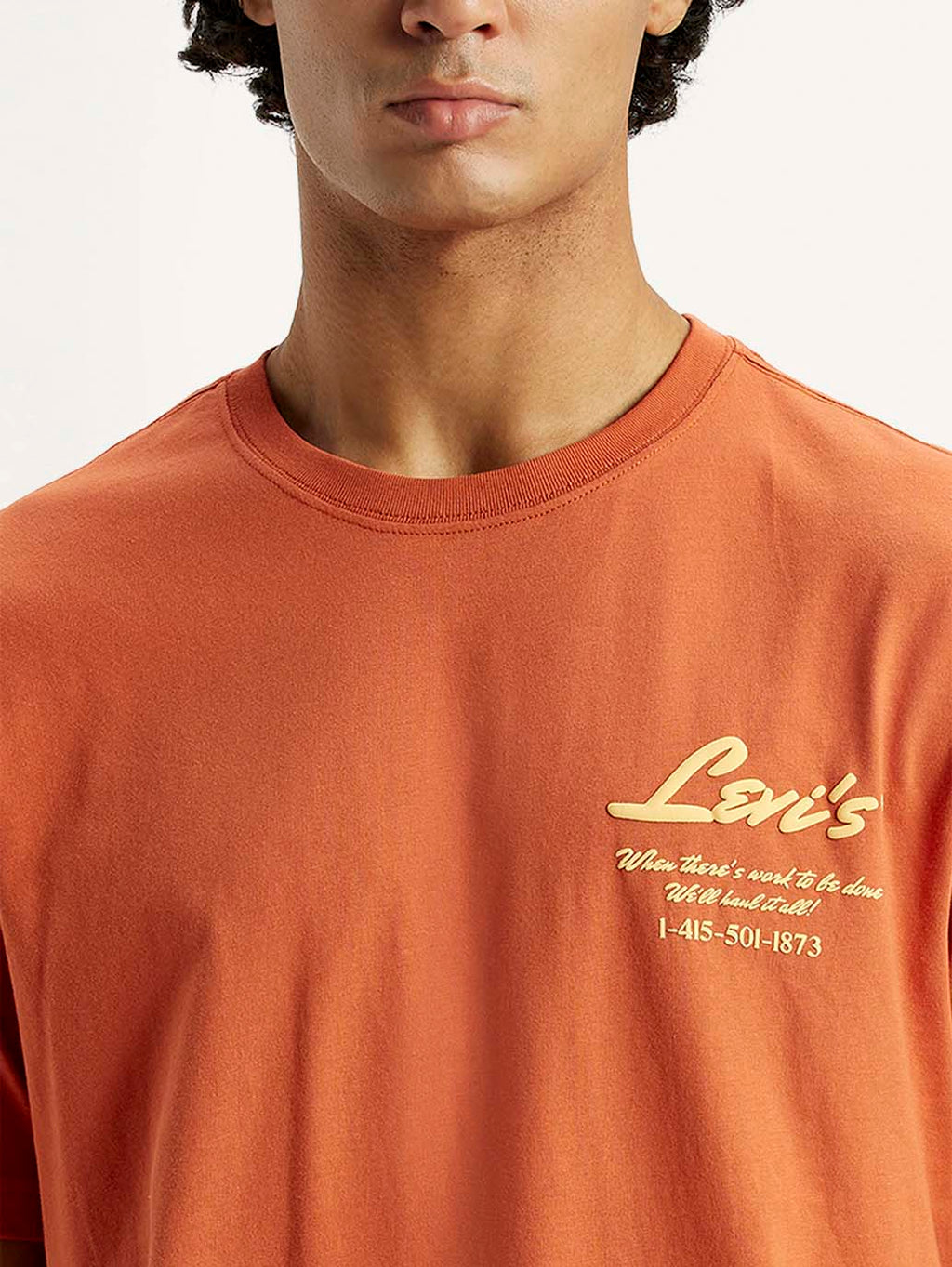 Men's Typography Regular Fit T-Shirt