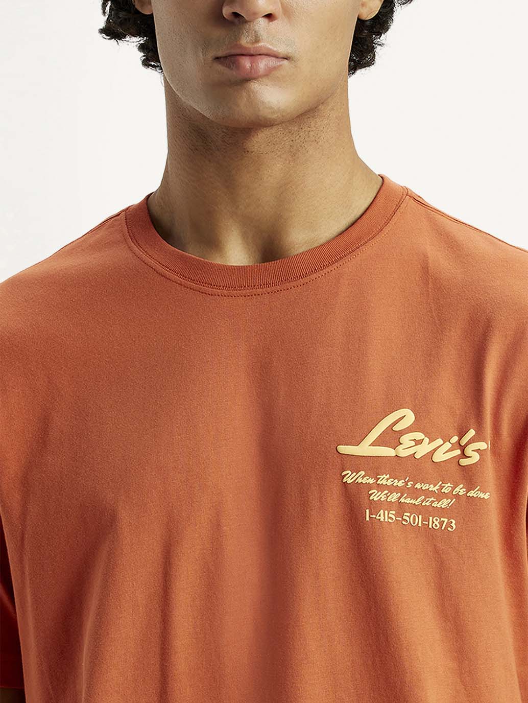 Men's Typography Regular Fit T-Shirt