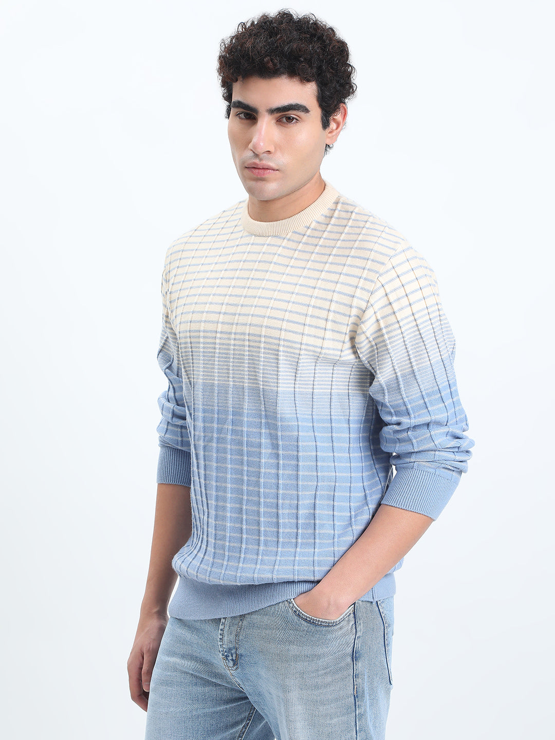 Men's Textured Blue Ombre Ribbed Round Neck Sweater